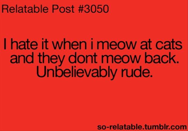 rude cats