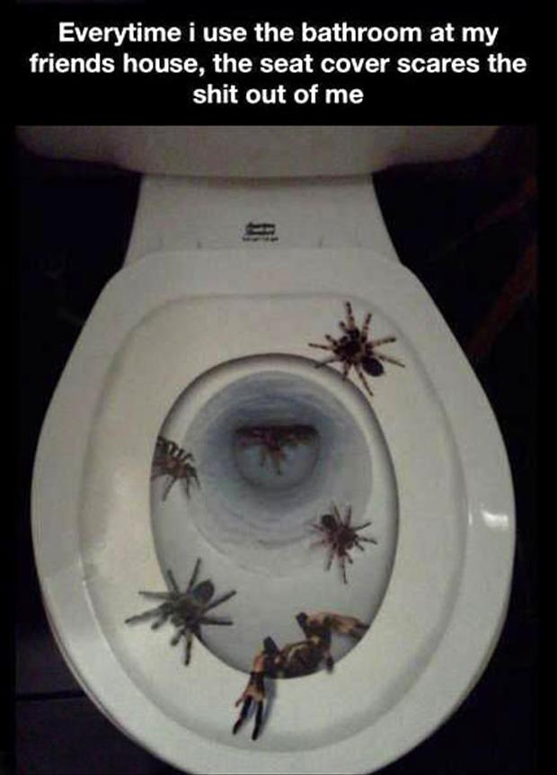 spider toilet seat