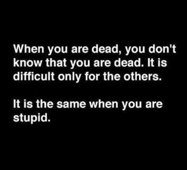 stupid people