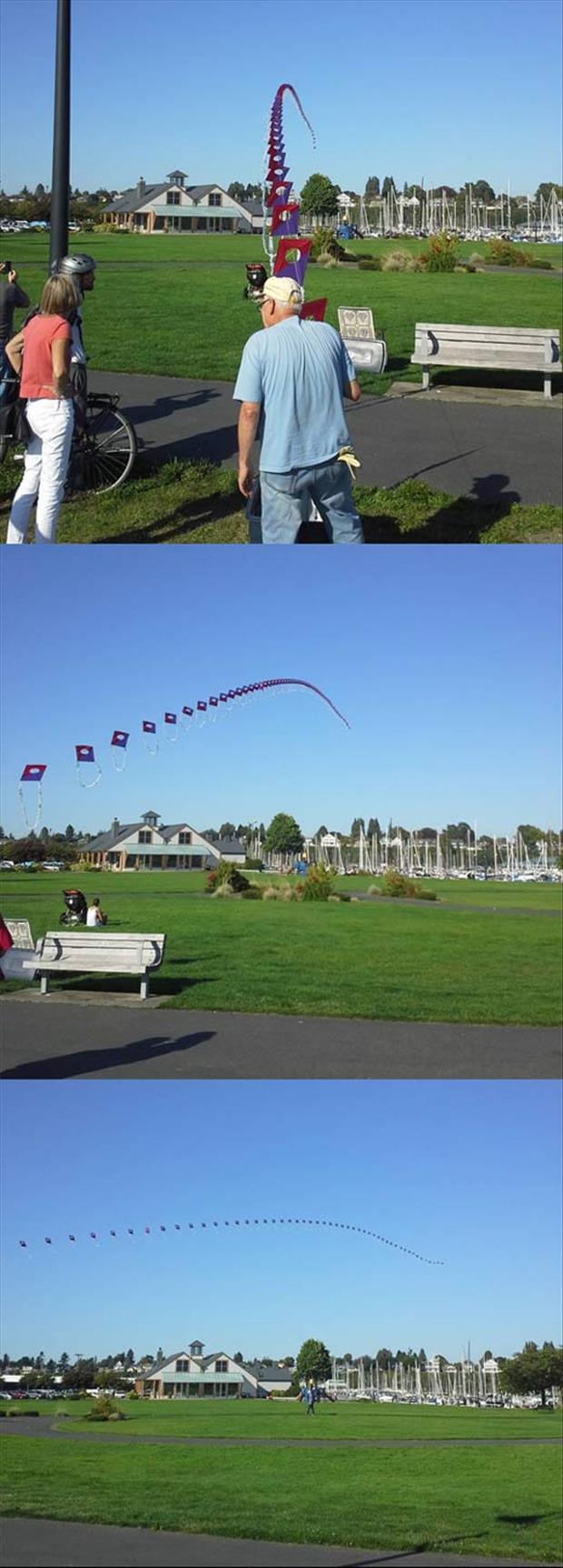 the best kite ever