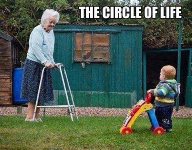 the circle of life