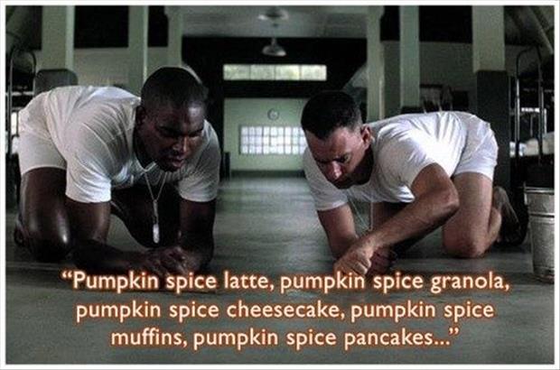 pumpkin spice food