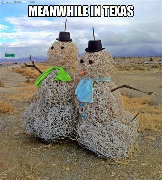 meanwhile in texas