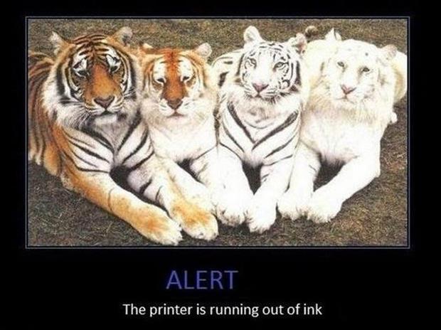 printer is out of ink