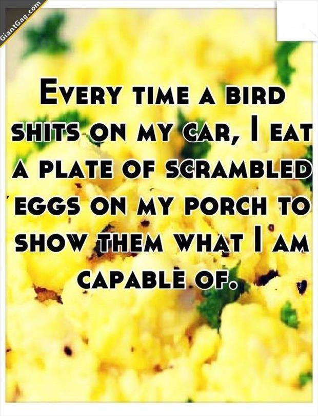 eating-eggs-in-front-of-birds.jpg
