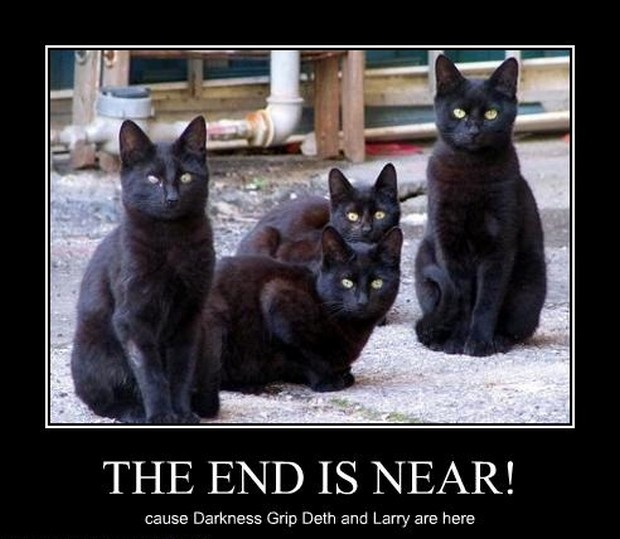 4-cats-of-the-apocalypse.jpg