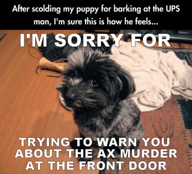 ... - The Power Of Barking With Dogs Funny Pictures Funny Quotes Funny