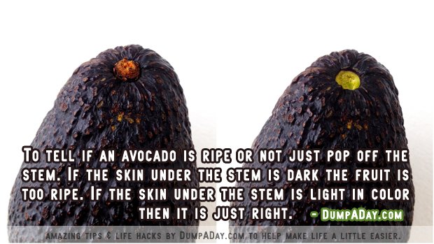 DumpADay Life Hacks- Avocado Ripeness