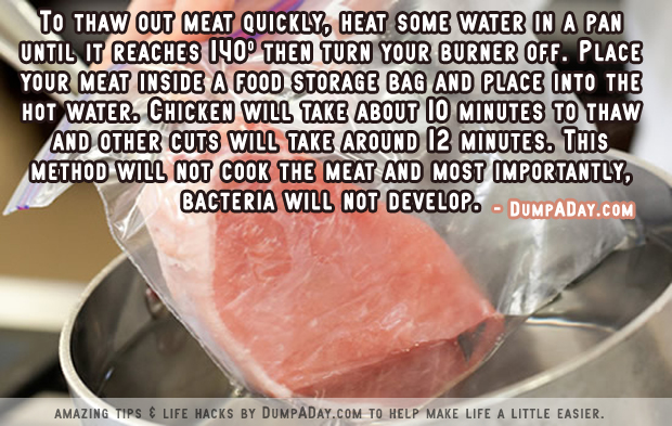 DumpADay Life Hacks- Thawing meat quickly