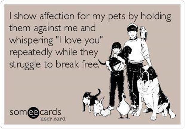 I love you pets