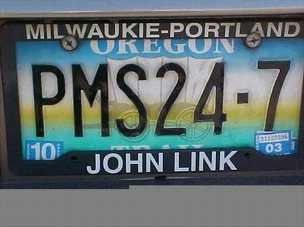 funny license plates (10)