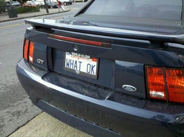 funny license plates (11)