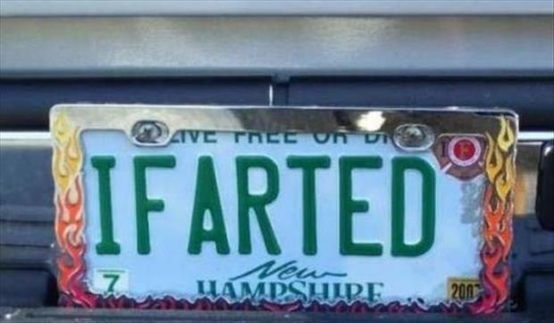 funny license plates (23)