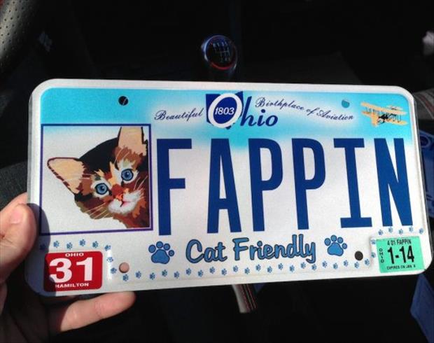funny license plates (3)