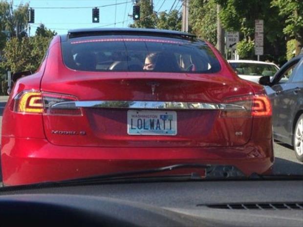 funny license plates (31)