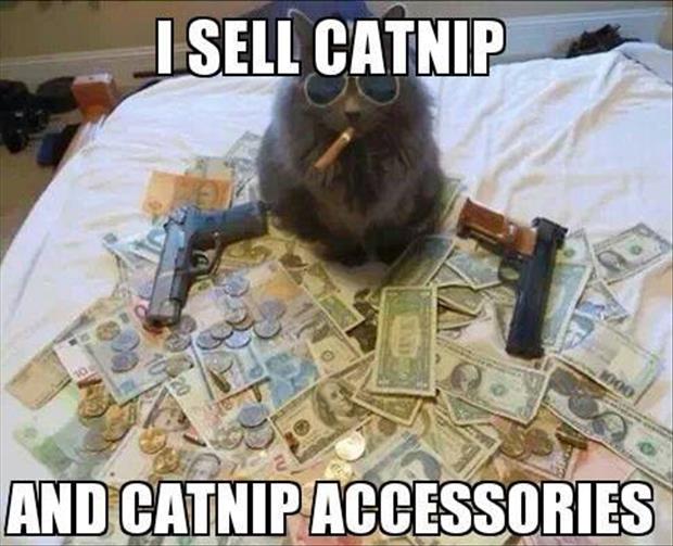 I sell cat nip