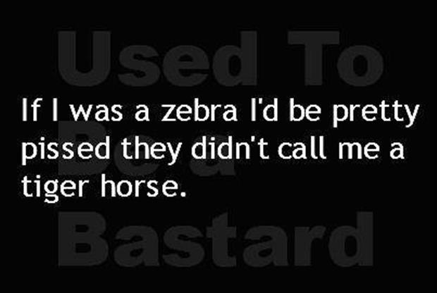 If i was a zebra