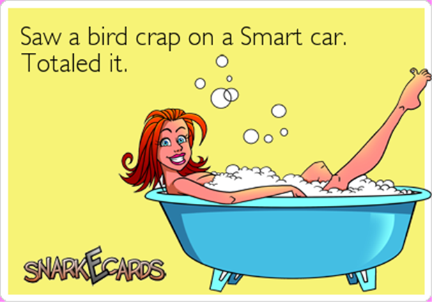 a bird crapped on a smart car