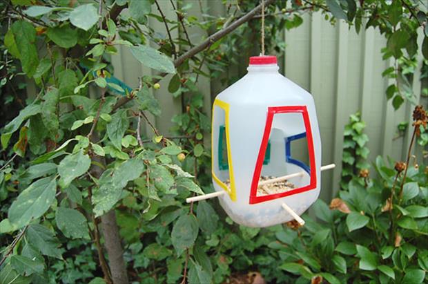 bird-feeder