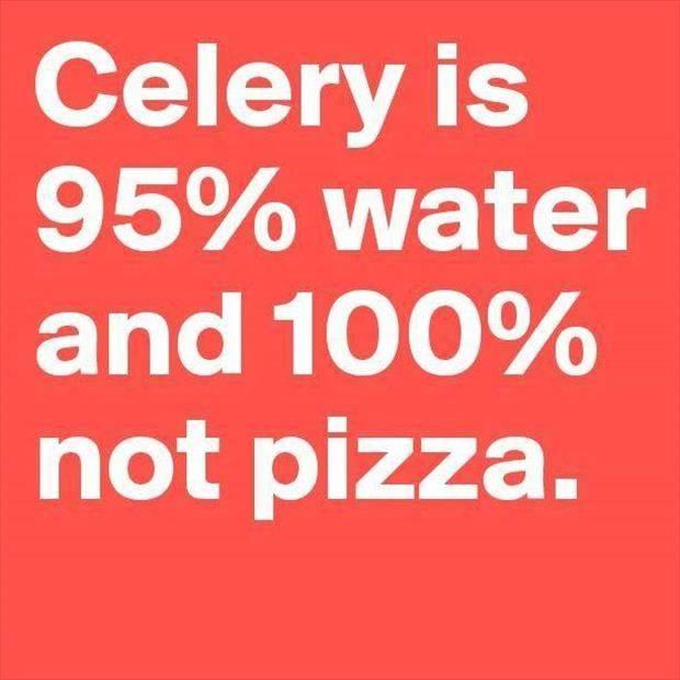 celery is not pizza