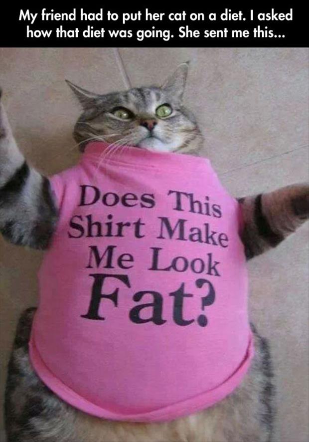 does this shirt make me look fat