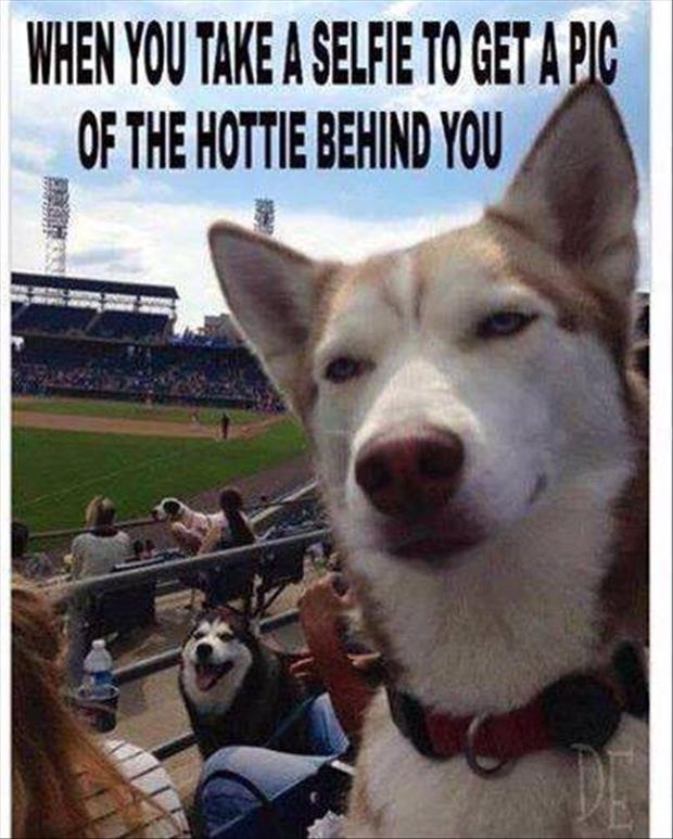 dog takes a selfie