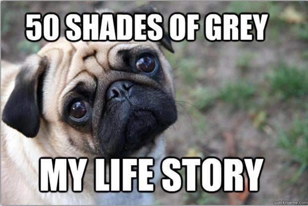 fifty shades of grey