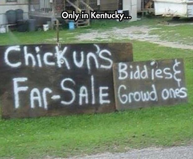 funny redneck signs