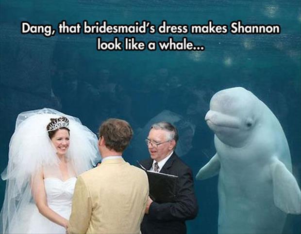 funny wedding pictures