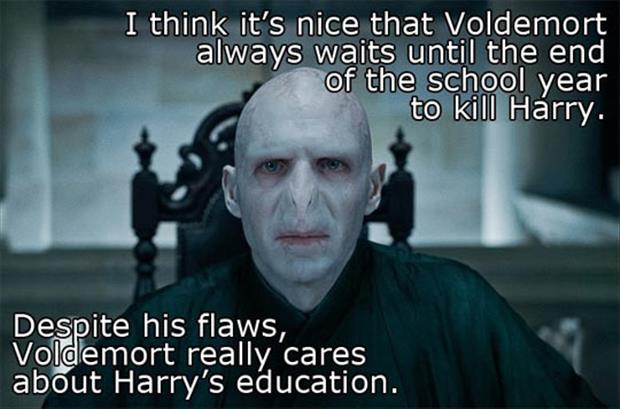 harry's education potter