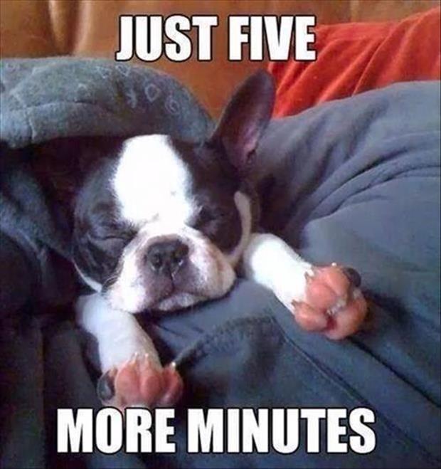 just five more minutes