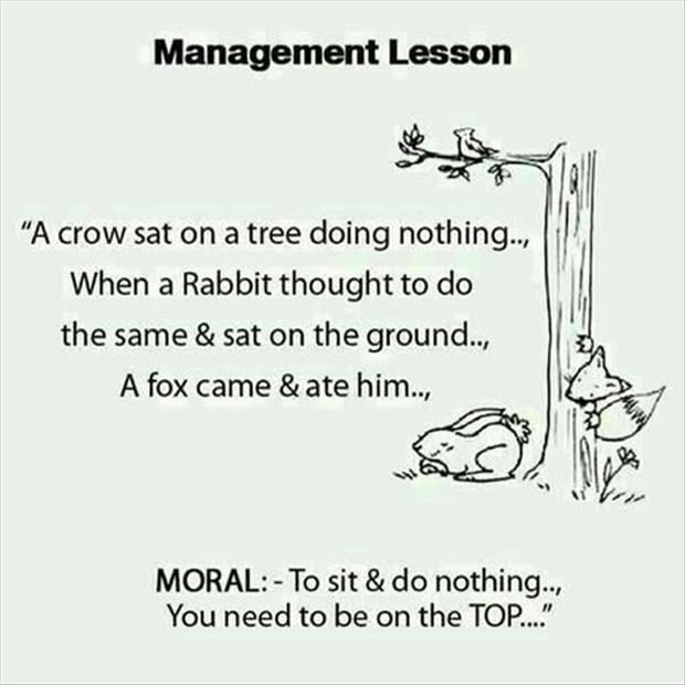 management lessons