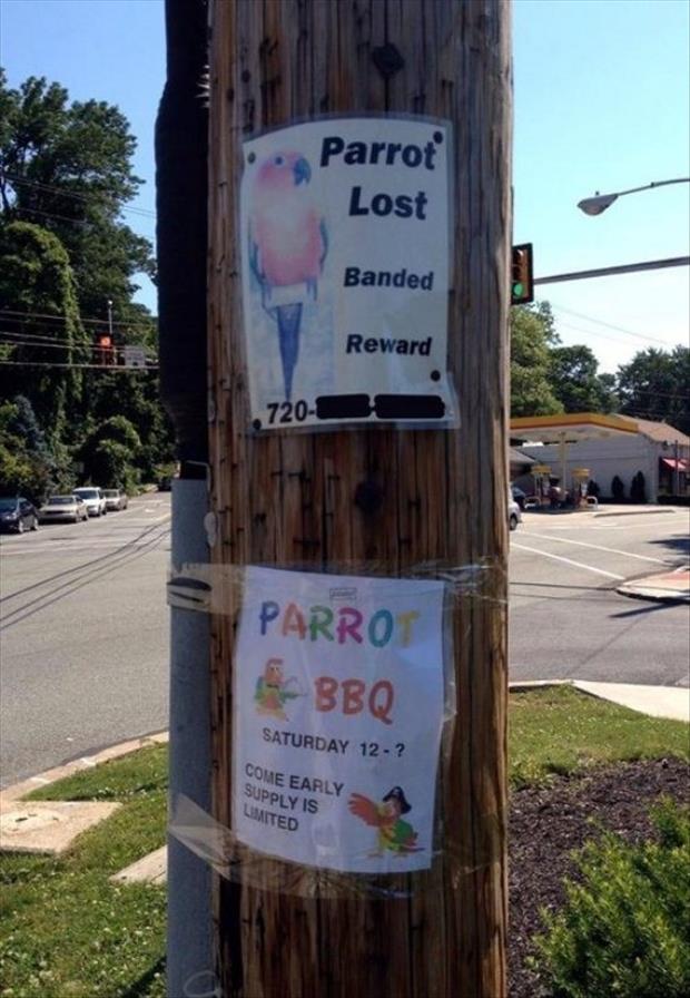 parrot bbq