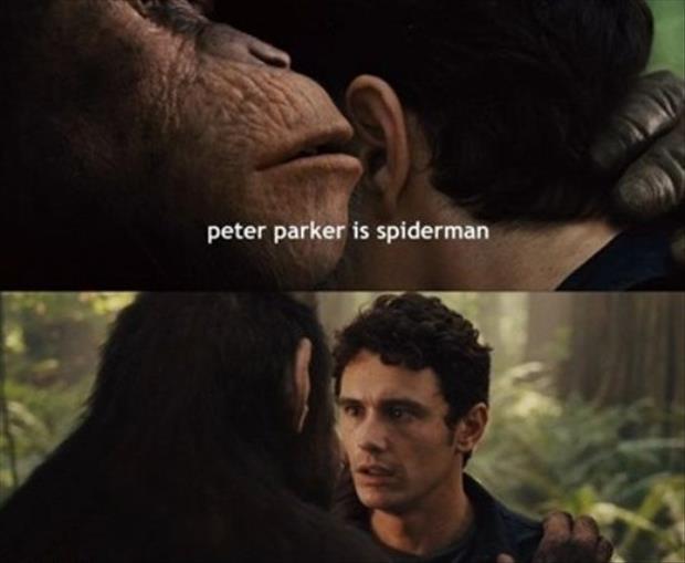 peter parker is spiderman