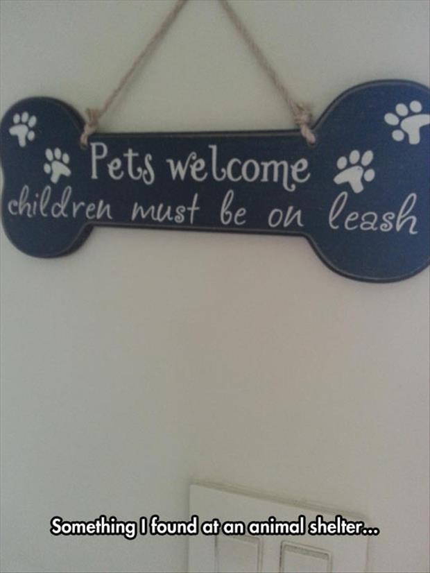 pets welcome