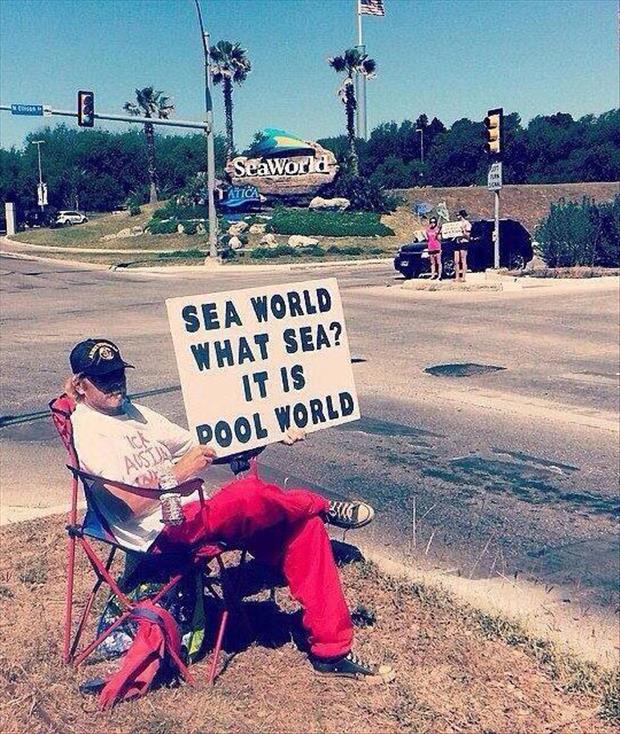 pool world