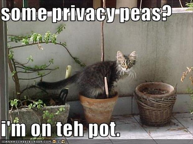 privacy please (4)