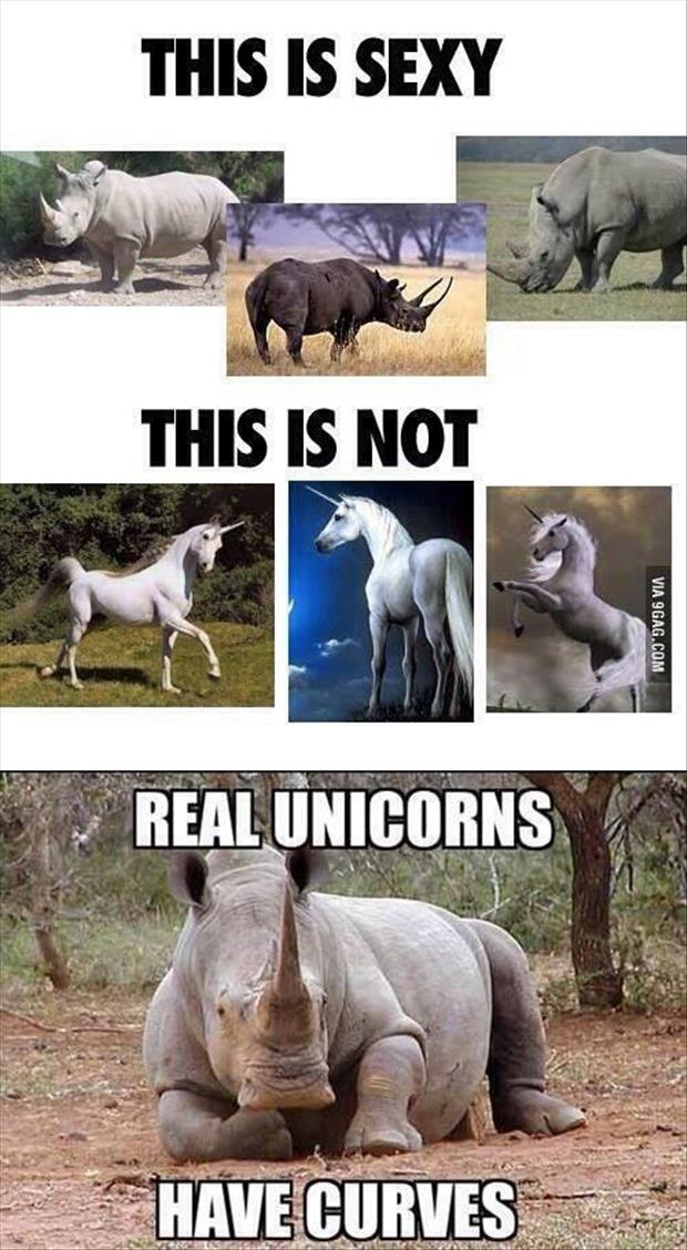 real unicorns have curves