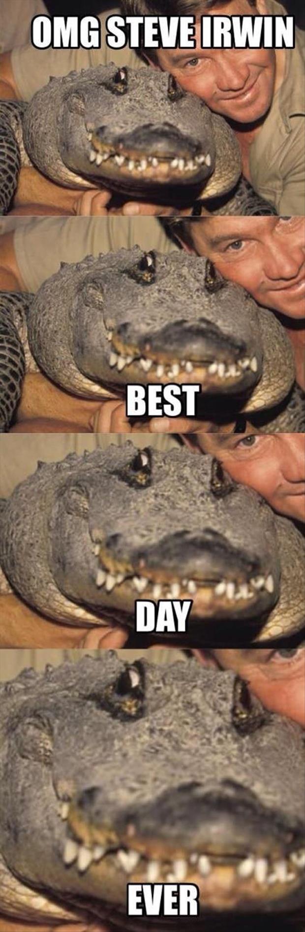 steve irwin best day ever