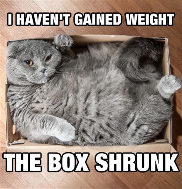 the box shrunk