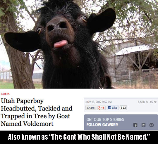 the goat who shall not be named