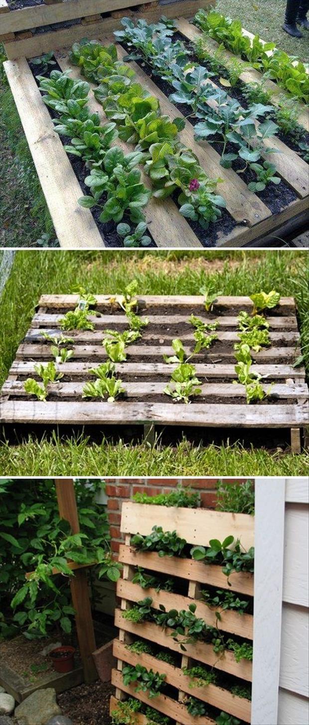 uses for old pallets (24)