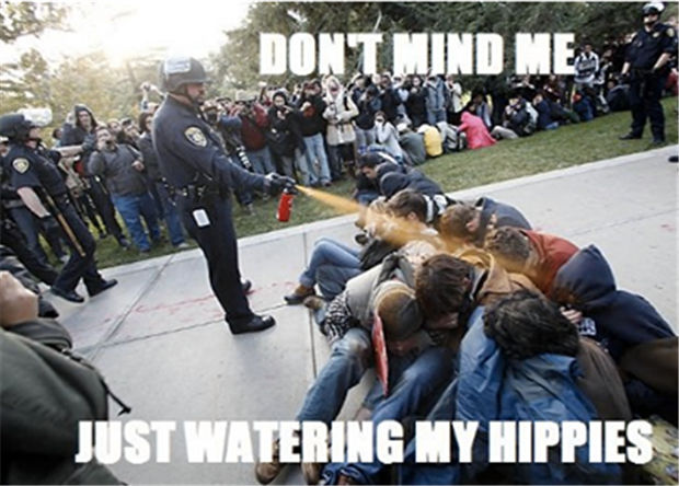 watering my hippies