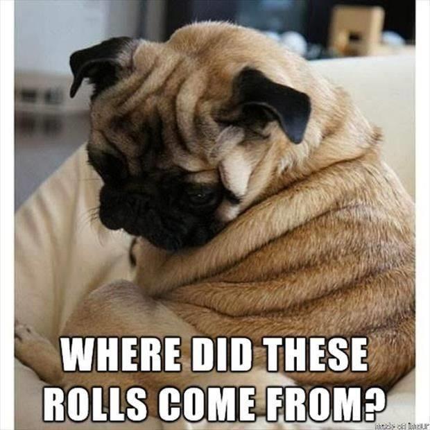 where did these rolls come from