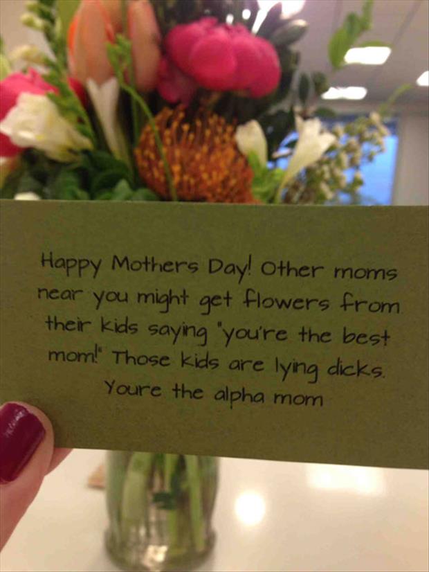 you're the alpha mom