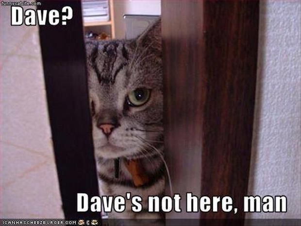 Dave's not here