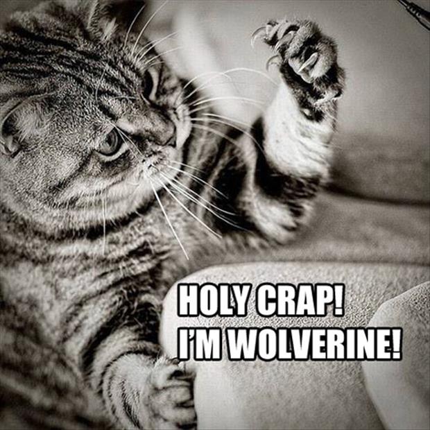 I'm wolverine