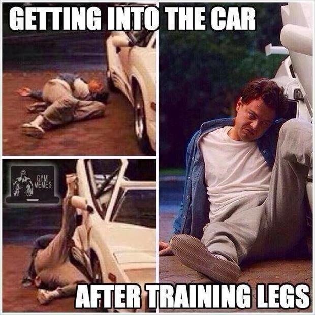 after leg day (1)