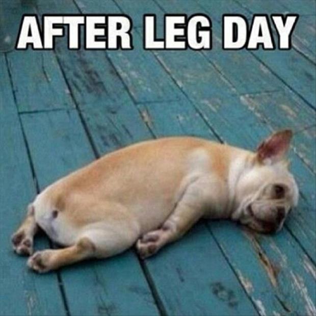 after leg day (16)