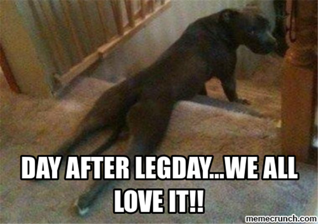 after leg day (3)
